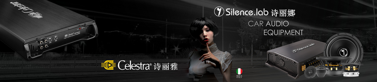 Celestra诗丽雅FA500.2v2全新传奇级二声道纯功率放大器 - 同威